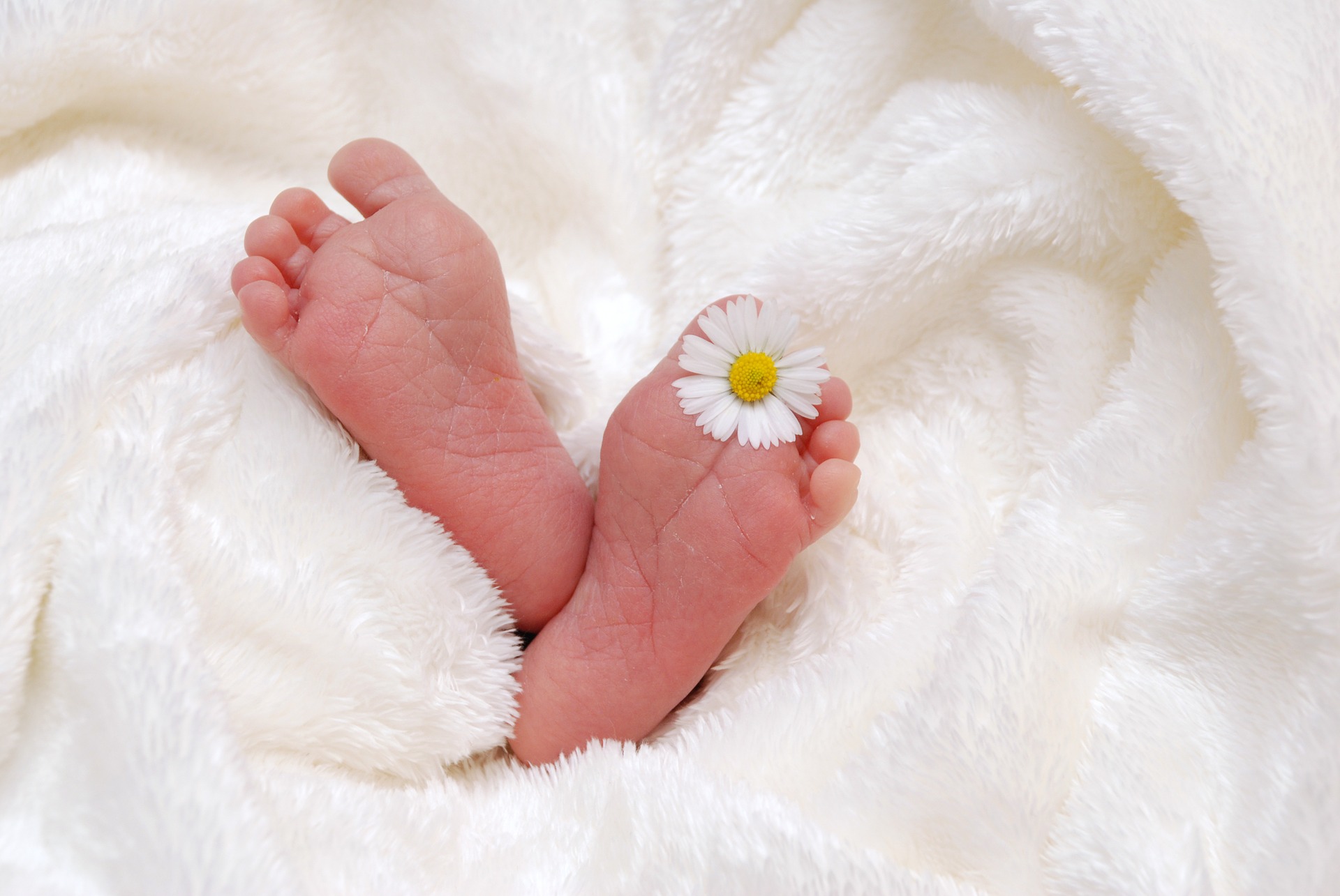 Novorozenec nohy sedmikráska