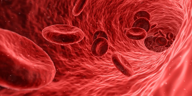 červené krvinky.jpg